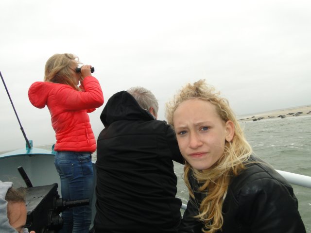 HWK Texel 232.jpg